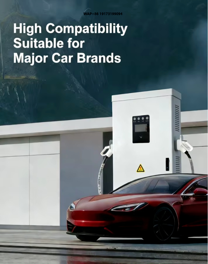 New Energy Vehicle (NEV) Charg - Ev Charging Pile review and price